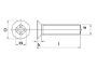 Afbeelding - https-www-ez-catalog-nl-Asset-ee698bb31ec544af9d28c1c6e01d65d3-ImageFullSize-DIN-965-tekening-jpg